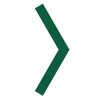 Advance To Next Image